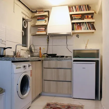 公寓 2br And 2bath Garden Pat Near To Nisantasi And Taksim #1 伊斯坦布尔