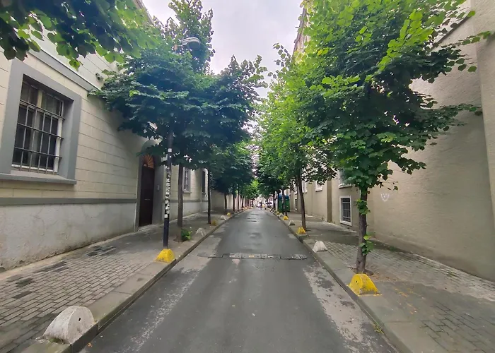 2br And 2bath Garden Pat Near To Nisantasi And Taksim #1